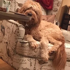 Meet your Posher, Elellen